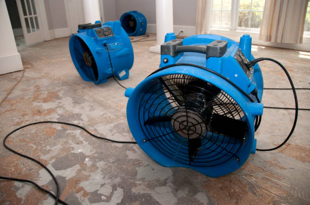 Best Water damage contractors near me  in Rumson, NJ